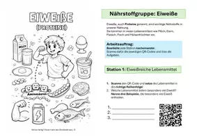 Vorschau - Mal- und Bastelvorlagen - Eiweiße in Lebensmitteln - Digitales Stationenlernen inkl. "Buddybook" - Seite 2