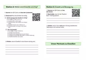 Vorschau - Mal- und Bastelvorlagen - Eiweiße in Lebensmitteln - Digitales Stationenlernen inkl. "Buddybook" - Seite 3