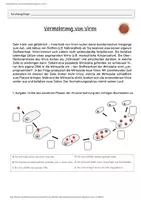 Vorschau - Arbeitsblätter - Vermehrung von Viren - Schritt für Schritt - Seite 2