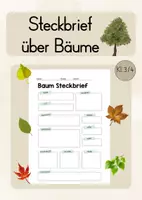 Vorschau - Arbeitsblätter - Steckbrief über Bäume (Kl. 3/4) - Deckblatt