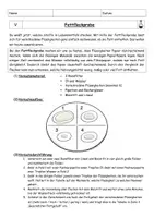 Vorschau - Arbeitsblätter - Schülerexperiment Fettfleckprobe mit HIlfe von Filterpapier - Deckblatt