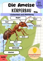Vorschau - Arbeitsblätter - Körperbau der Ameise – Arbeitsblätter | Grundschule - Deckblatt
