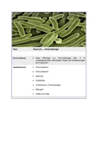 Vorschau - Merkblätter - Rund um... Immunbiologie - Seite 1