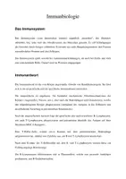 Vorschau - Merkblätter - Rund um... Immunbiologie - Seite 2