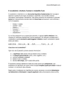 anteprima - Altro tipo di materiale - Attività per l'uso del vocabolario - Pagina 1