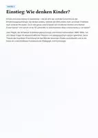Vorschau - Unterrichtsreihen - Jean Piaget – Kognitive Entwicklungstheorie, Stufenmodell & Anwendung im Unterricht (Sek II, AFB I–III, inkl. Klausur) - Seite 2