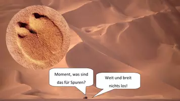 Vorschau - Stundenentwürfe - Pflanzen und Tiere in der Wüste - Seite 3