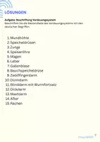 Vorschau - Arbeitsblätter - Arbeitsblatt - Beschriftung Verdauungssystem, inkl. Lösung - Seite 1
