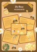 Vorschau - Stationenlernen - Die Biene - eine Wissenskartei - Deckblatt