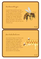 Vorschau - Stationenlernen - Die Biene - eine Wissenskartei - Seite 3