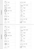 Vorschau - Arbeitsblätter - body parts Englisch Grundschule | Englischunterricht Klasse 3-4 - Seite 3