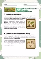 Vorschau - Arbeitsblätter - Landwirtschaft einfach erklärt – Warum gibt es Lebensmittelproduktion? - Seite 2