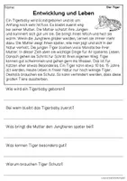 Vorschau - Arbeitsblätter - Der Tiger - Sachtexte für Erstleser, Leseverständnis Klasse 1 & 2 - Seite 3
