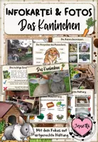 Vorschau - Merkblätter - Haustiere: Das Kaninchen (Infokartei & Fotosammlung) - Deckblatt