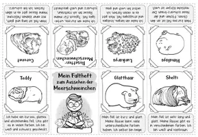 Vorschau - Arbeitsblätter - Haustiere: Das Meerschweinchen (Bundle aus Miniheft & Kartei) - Seite 3