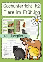 Vorschau - Arbeitsblätter - Tiere im Frühling Jungtiere Sachunterricht Klasse 1 & 2 - Deckblatt