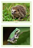 Vorschau - Arbeitsblätter - Tiere im Frühling Jungtiere Sachunterricht Klasse 1 & 2 - Seite 1