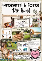 Vorschau - Merkblätter - Haustiere: Der Hund (Infokartei & Fotosammlung) - Deckblatt