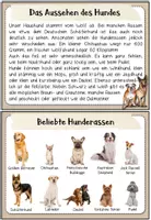 Vorschau - Merkblätter - Haustiere: Der Hund (Infokartei & Fotosammlung) - Seite 2