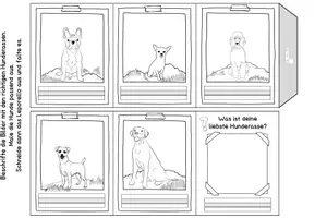 Vorschau - Arbeitsblätter - Haustiere: Der Hund (Miniheft & Leporello) - Seite 3