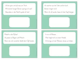 Vorschau - Spiele - Leserätsel Frühling - Wer bin ich? - Seite 3