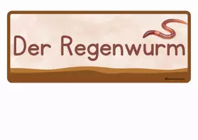 Vorschau - Präsentationen/Tafelbilder - Bodentiere - Seite 3