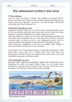 Vorschau - Arbeitsblätter - Die Lebewesen erobern das Land – Partnerarbeit zu Pflanzen & Tieren (Evolution, Anpassungen) - Seite 2