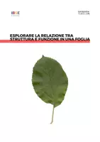 anteprima - Altro tipo di materiale - Esplorare la relazione tra struttura e funzione in una foglia - Pagina di copertina