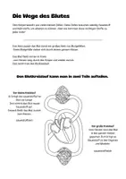 Vorschau - Unterrichtsreihen - Unser Herz-Kreislauf-System – Mappe für die 4. Klasse Volksschule - Seite 3