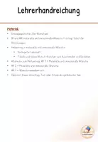 Vorschau - Stundenentwürfe - Materielle und immaterielle Wünsche - fertige Unterrichtsstunde - Seite 1