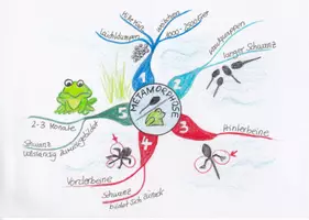 Vorschau - Merkblätter - MindMap Matamorphose - Seite 2