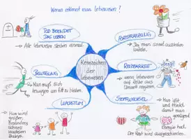 Vorschau - Merkblätter - MindMap Kennzeichen der Lebewesen - Seite 1