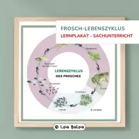Vorschau - Poster - Frosch Lebenszyklus Kreis – 2 Darstellungen Sachunterricht - Deckblatt