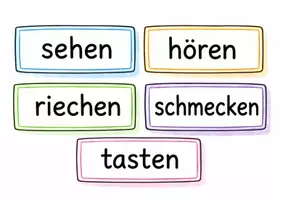 Vorschau - Bildkarten - Bild- und Wortkarten "Unsere Sinne" - Seite 2