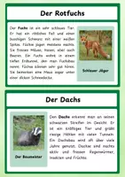 Vorschau - Stationenlernen - Waldtiere – Wissenskarten & Infokarten für die Grundschule - Seite 3