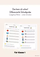 Vorschau - Arbeitsblätter - Schreibprobe - Diagnose erstes Schreiben Klasse 1 - Deckblatt