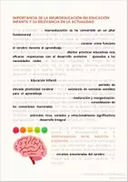 Vista previa - Para docentes: organización, planificación y formación - APORTACIONES DE LA NEUROEDUCACIÓN - página 3