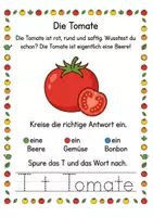 Vorschau - Arbeitsblätter - Paket - Mein kleiner Gemüsegarten – 3 Wissens- & Mitmachhefte (Kita–1. Klasse) - Seite 3