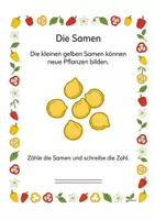 Vorschau - Arbeitsblätter - Alles rund um die Paprika – Wissens‑ & Mitmachheft (Kindergarten – 1. Klasse) - Seite 3