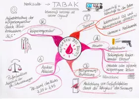 Vorschau - Merkblätter - MindMap Aufgaben des Blutes - Seite 1