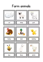 Vorschau - Bildkarten - English Flashcards Farm Animals - Englisch-Flashcards zum Thema „Bauernhoftiere“ - Seite 2