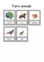 Vorschau - Bildkarten - English Flashcards Farm Animals - Englisch-Flashcards zum Thema „Bauernhoftiere“ - Seite 3