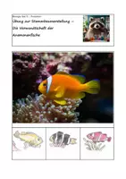 Vorschau - Arbeitsblätter - Übung zur Stammbaumerstellung – Die Verwandtschaft der Anemonenfische - Deckblatt