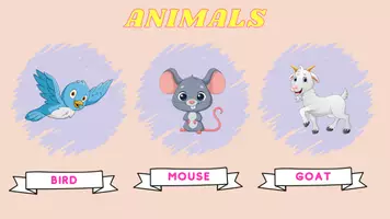 zapowiedź - Karta pracy "Animals" - angielski dla dzieci 5-8 lat - obwoluta