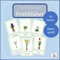 Vorschau - Poster - Frühblüher Bildkarten Wortkarten Tafelmaterial - Seite 1