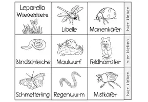 Vorschau - Arbeitsblätter - Leporello Wiesentiere | Sachunterricht Klasse 1-3 - Seite 3