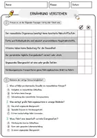 Vorschau - Arbeitsblätter - Ernährung verstehen Arbeitsblätter mit Fragen + Lösungen Lesetext - Seite 2