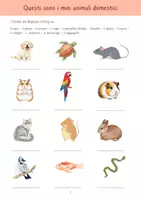 Vorschau - Arbeitsblätter - Haustiere / Tiere / der unbestimmte Artikel (italienisch/italiano) - Deckblatt