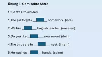 Vorschau - Spiele - Possessive Begleiter Übung (Folien) - Seite 3