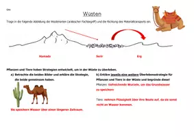 Vorschau - Stundenentwürfe - Wüsten und Oasen - Seite 1